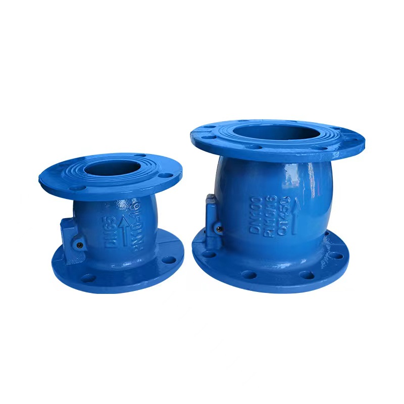 Silent Check Valve Casting