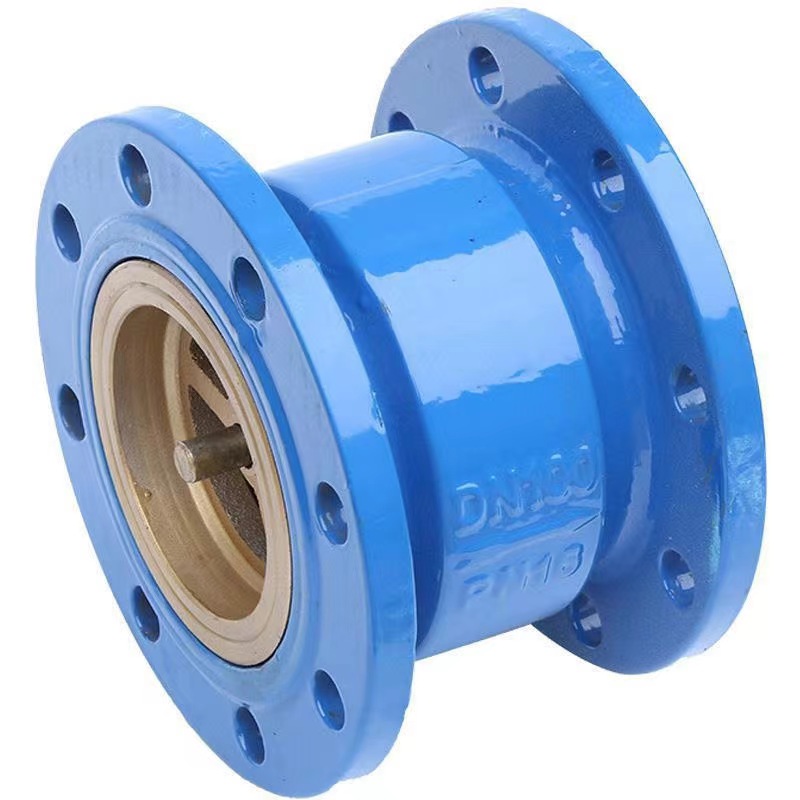 Silent Check Valve Casting