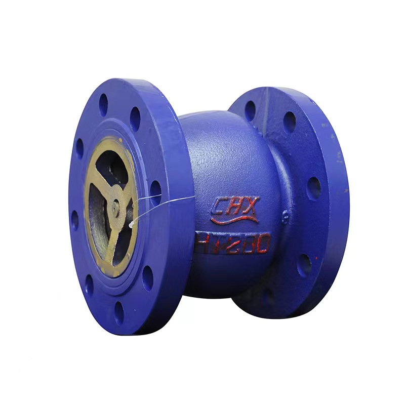 Silent Check Valve Casting